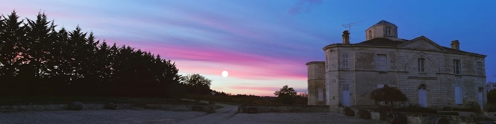 旗帜的 FRANCE FORTRESS