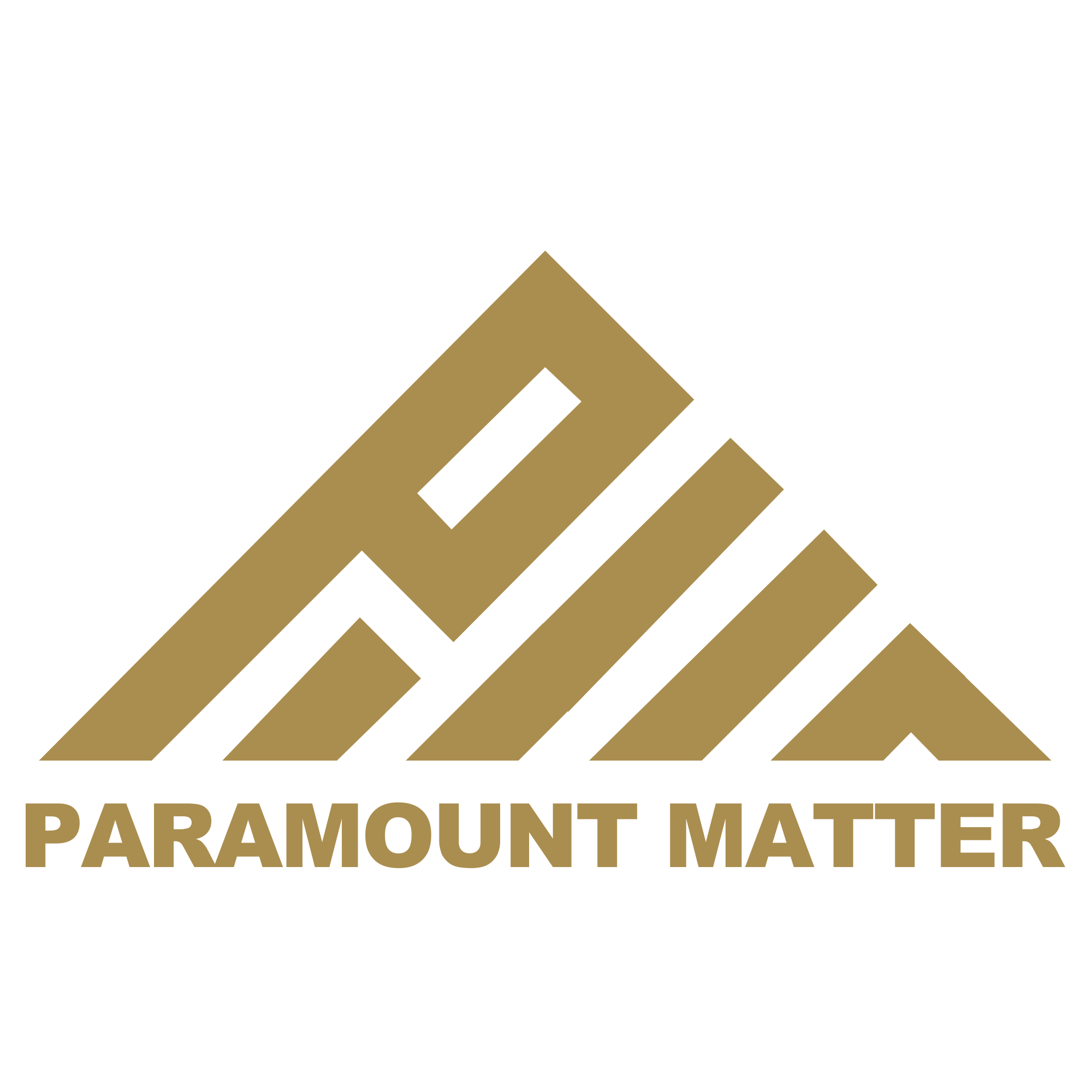 Logo of Paramount Matter Holdings