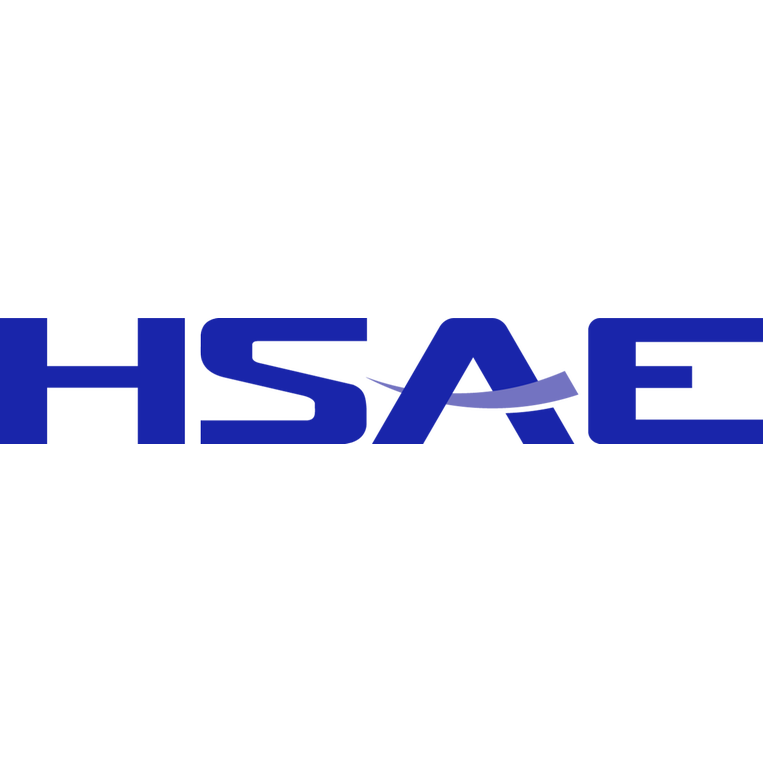 Logo de Hangsheng Technology GmbH